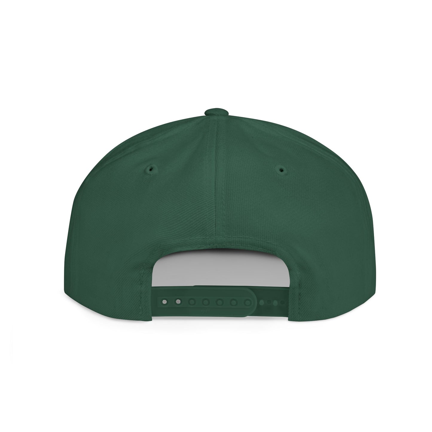 3d Render Arroe Hit The Center Of Target Or Goal Of Success Flat Bill Snapback
