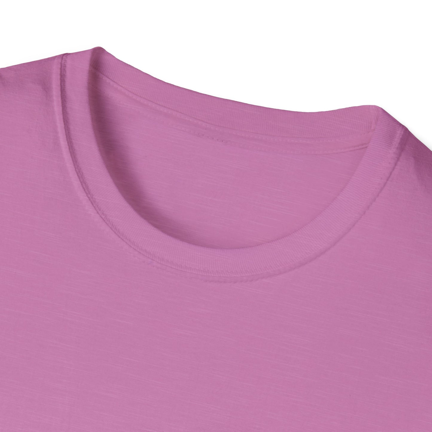 You Can Definitely Reach Your Dream Unisex Softstyle T-Shirt