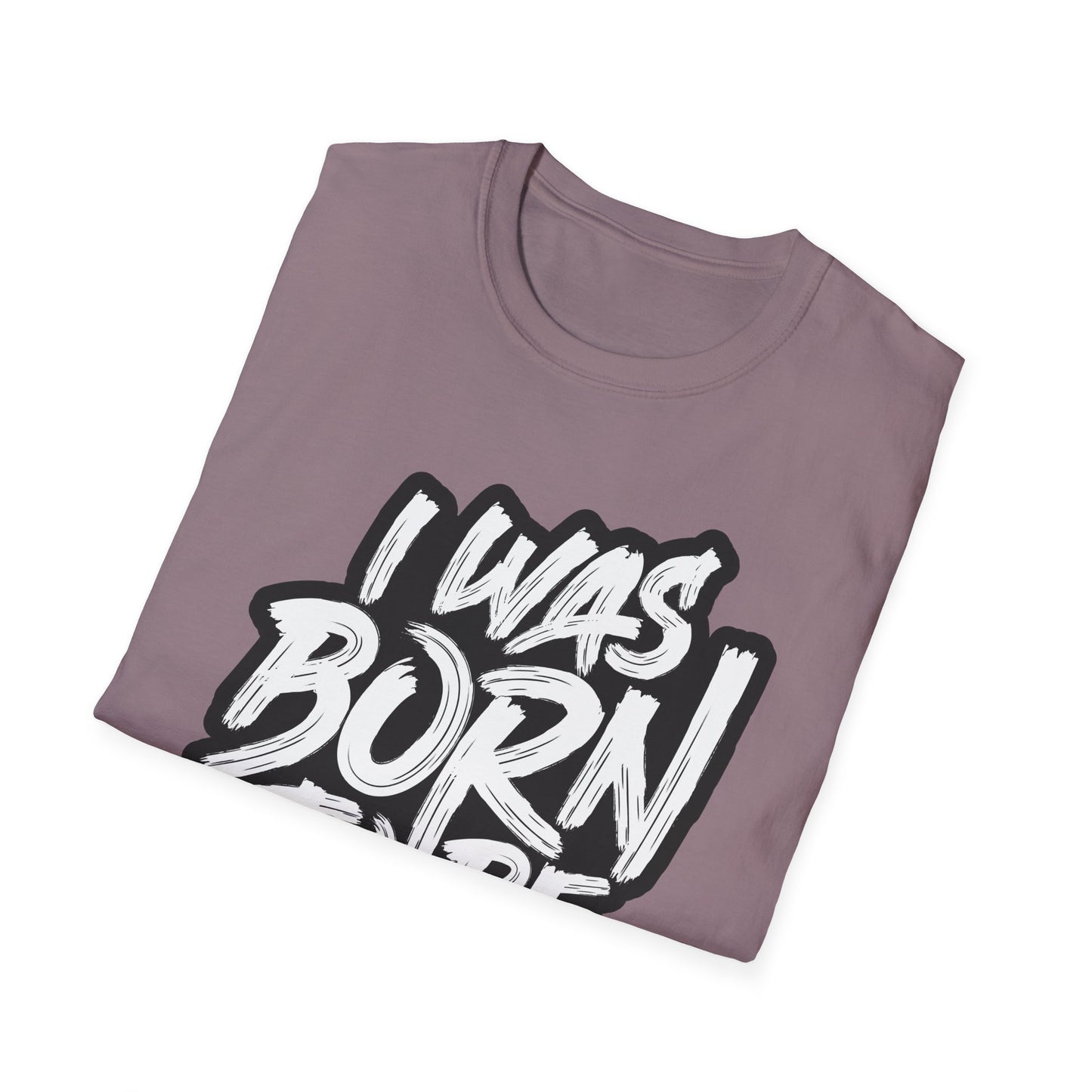 I Was Born To Be Handsome Unisex Softstyle T-Shirt