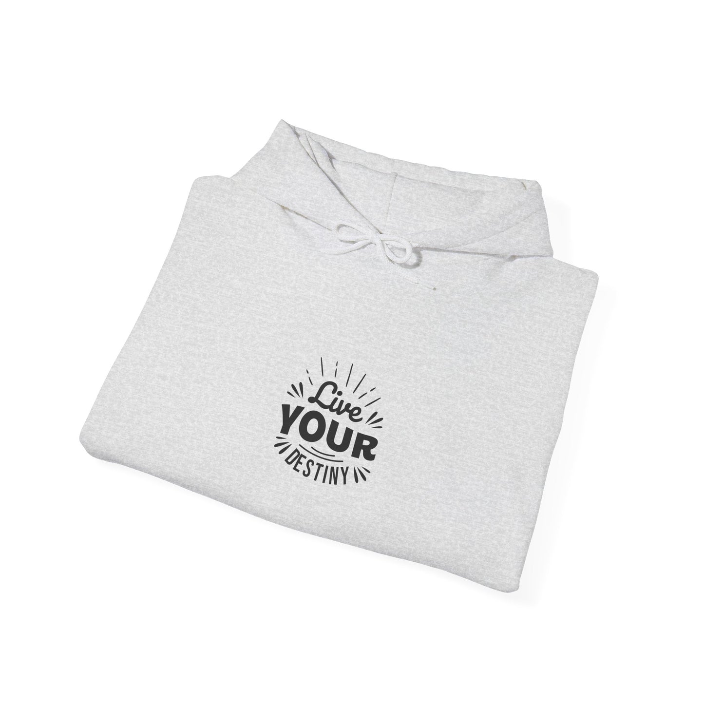 Live Your Destiny Unisex Heavy Blend™ Hooded Sweatshirt