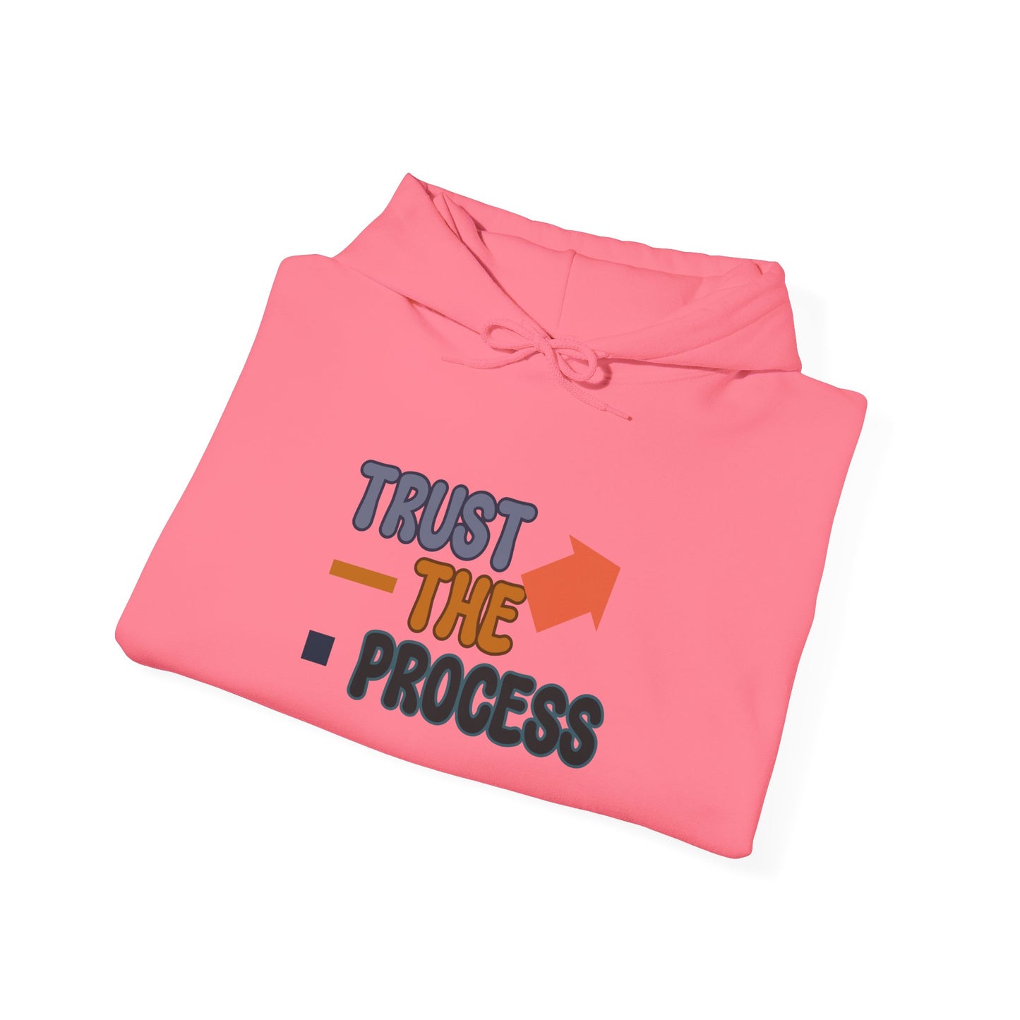 Trust The Process Unisex Heavy Blend™ Hooded Sweatshirt