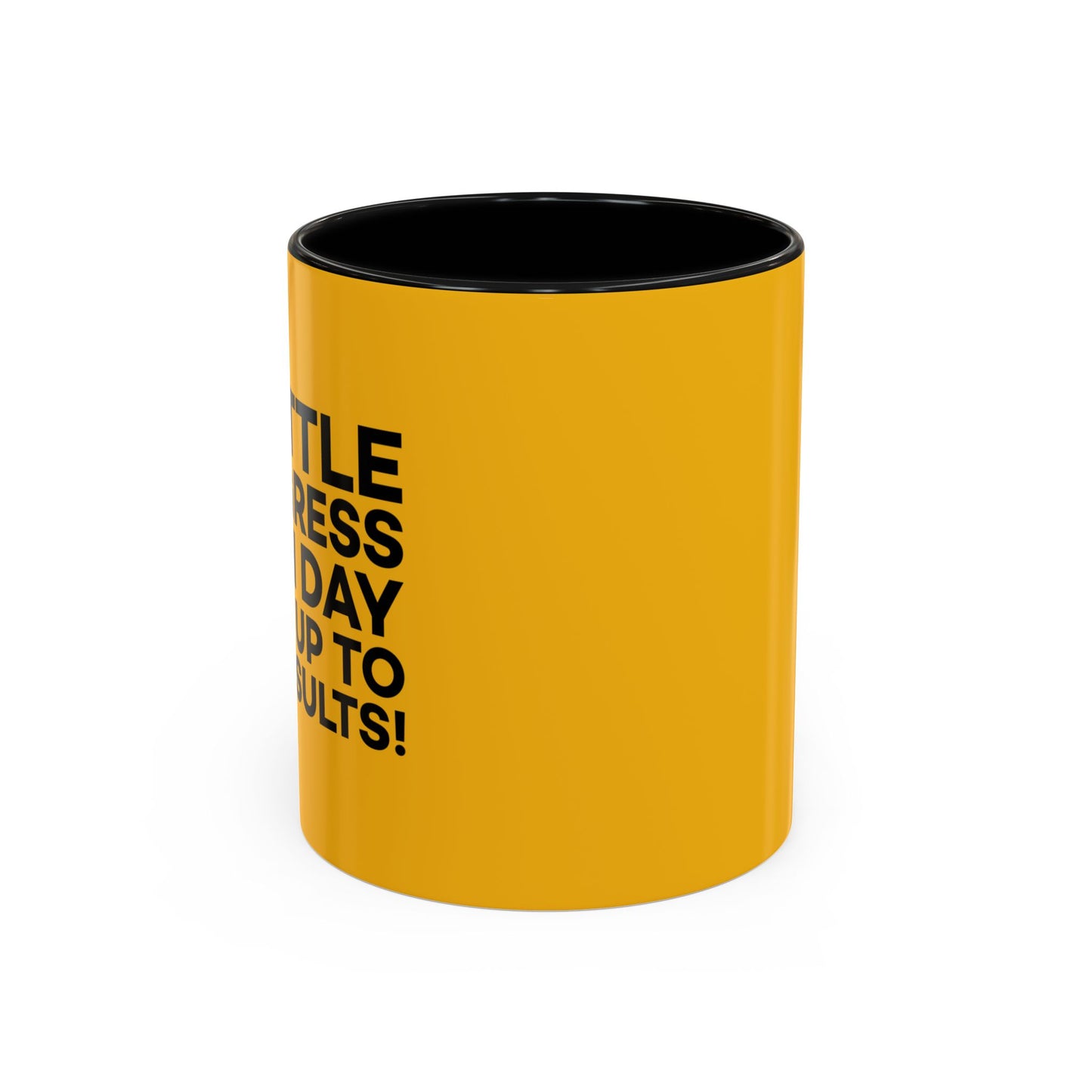A Little Progress Each Day Adds Up To Big Results! Accent Coffee Mug (11, 15oz)