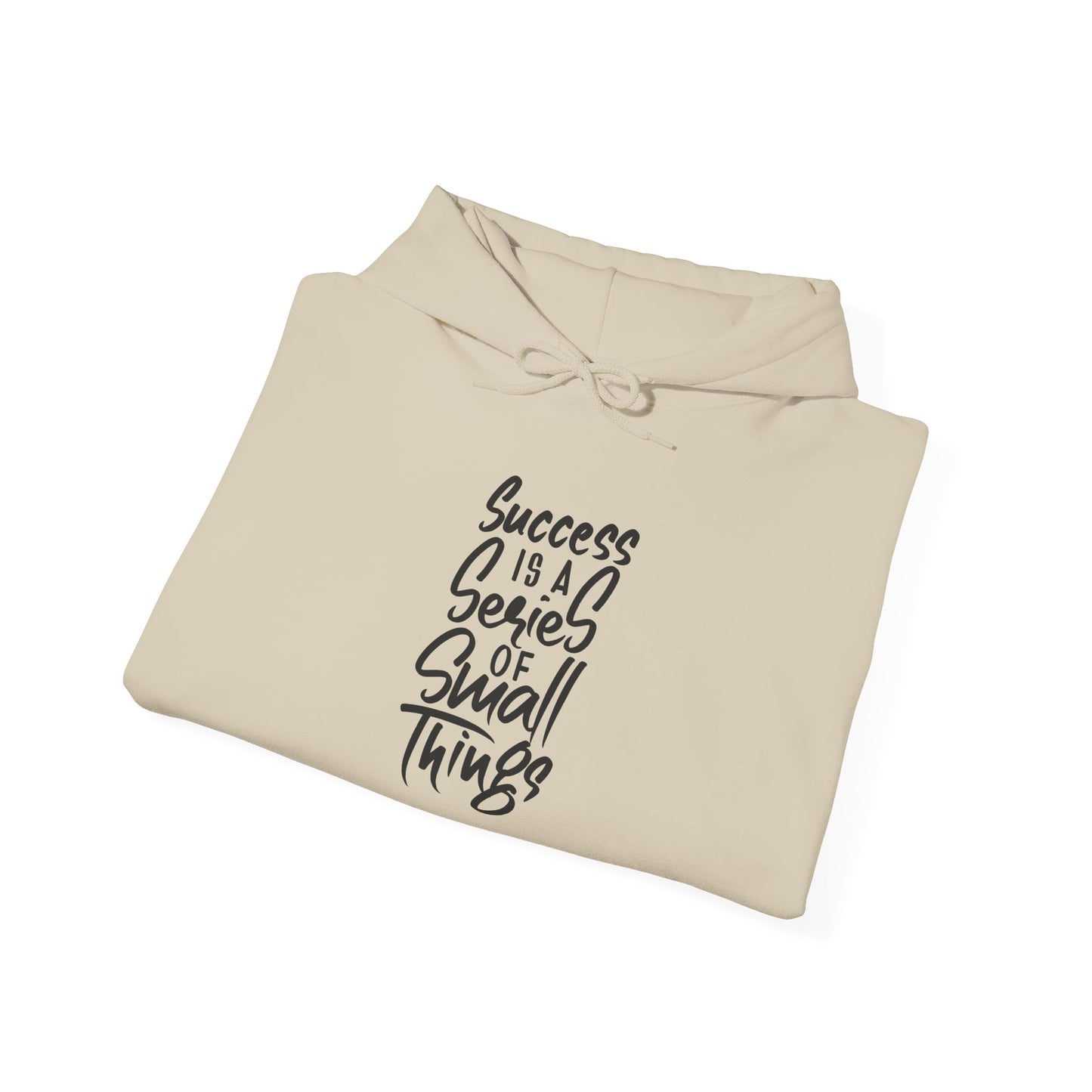 Success Is A Series Of Small Things Unisex Heavy Blend™ Hooded Sweatshirt