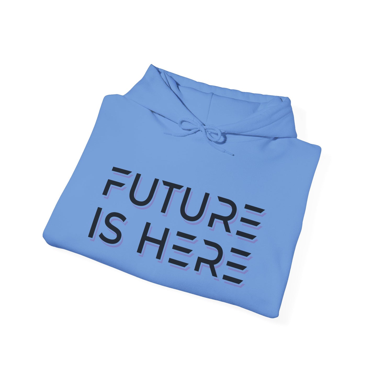 Future Is Here Unisex Heavy Blend™ Hooded Sweatshirt