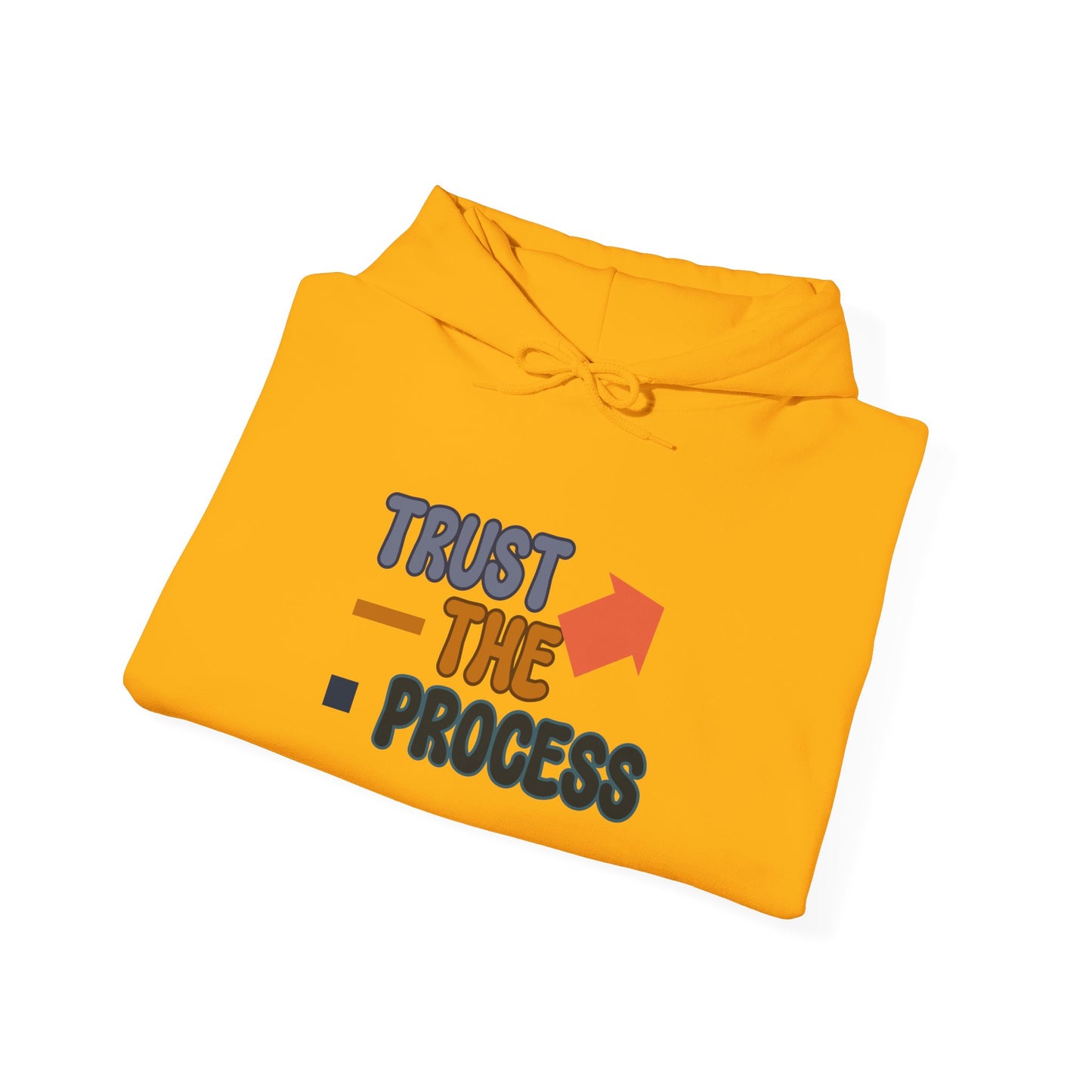 Trust The Process Unisex Heavy Blend™ Hooded Sweatshirt