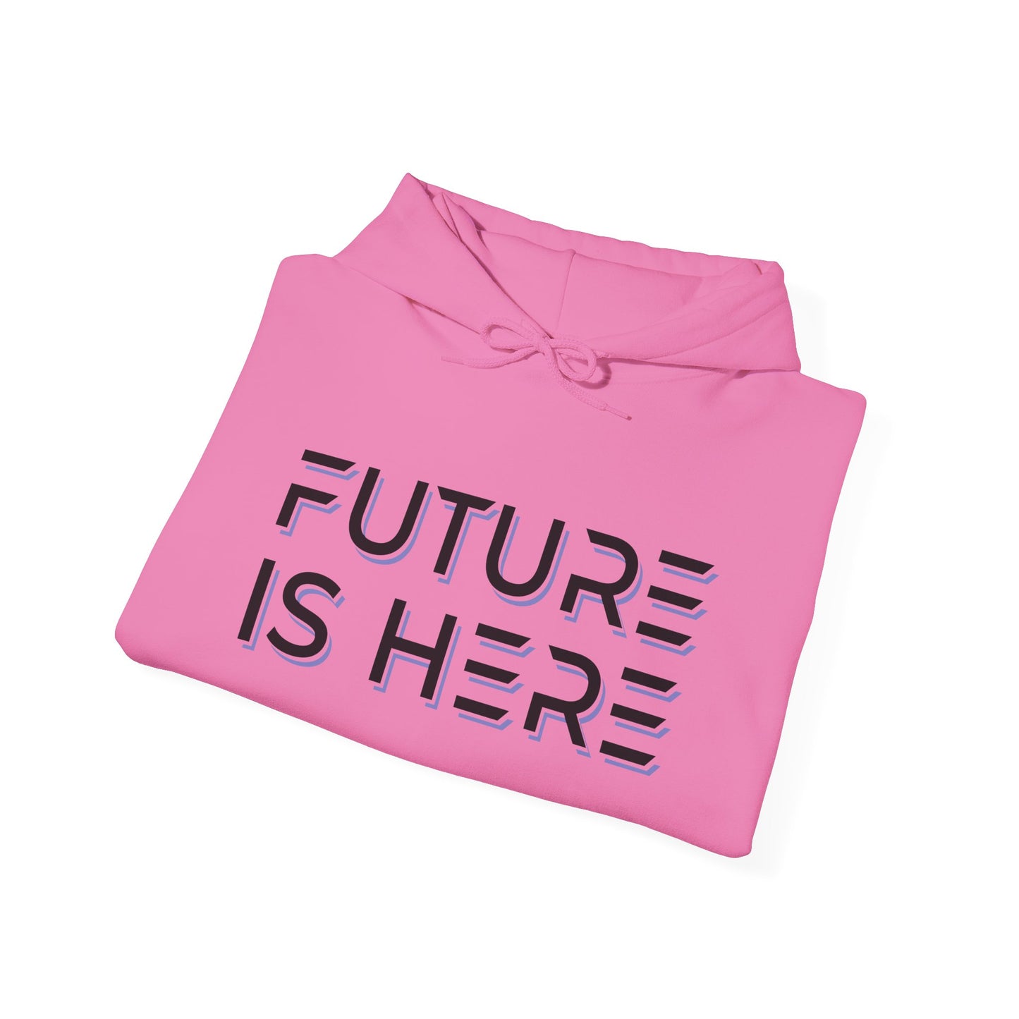 Future Is Here Unisex Heavy Blend™ Hooded Sweatshirt