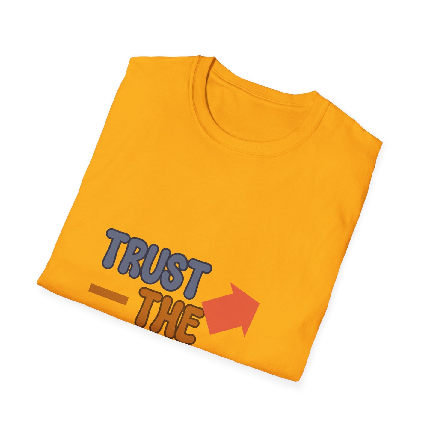 Trust The Process  Unisex Softstyle T-Shirt