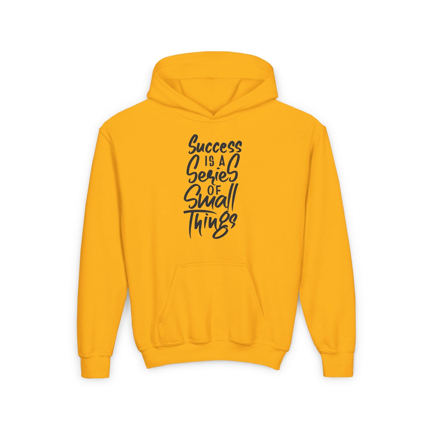 Success Is A Series Of Small Things Youth Heavy Blend Hooded Sweatshirt