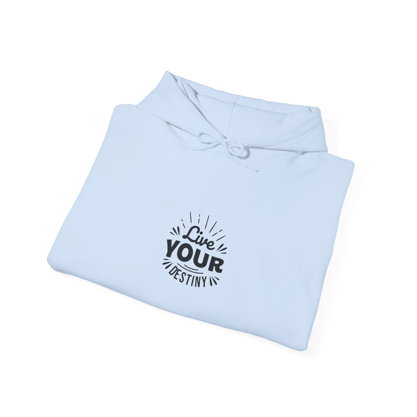 Live Your Destiny Unisex Heavy Blend™ Hooded Sweatshirt