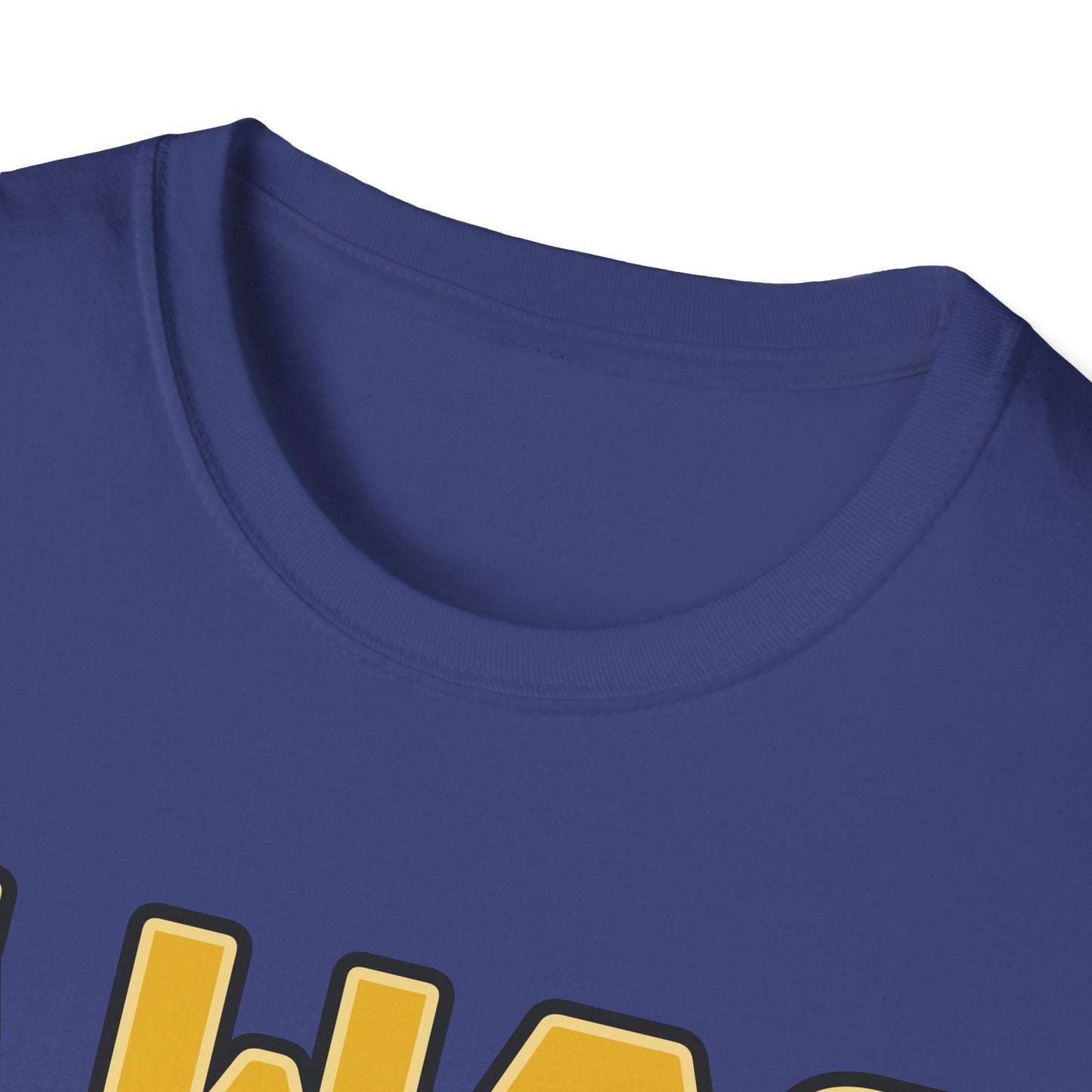 I Was Born To Be Handsome Unisex Softstyle T-Shirt