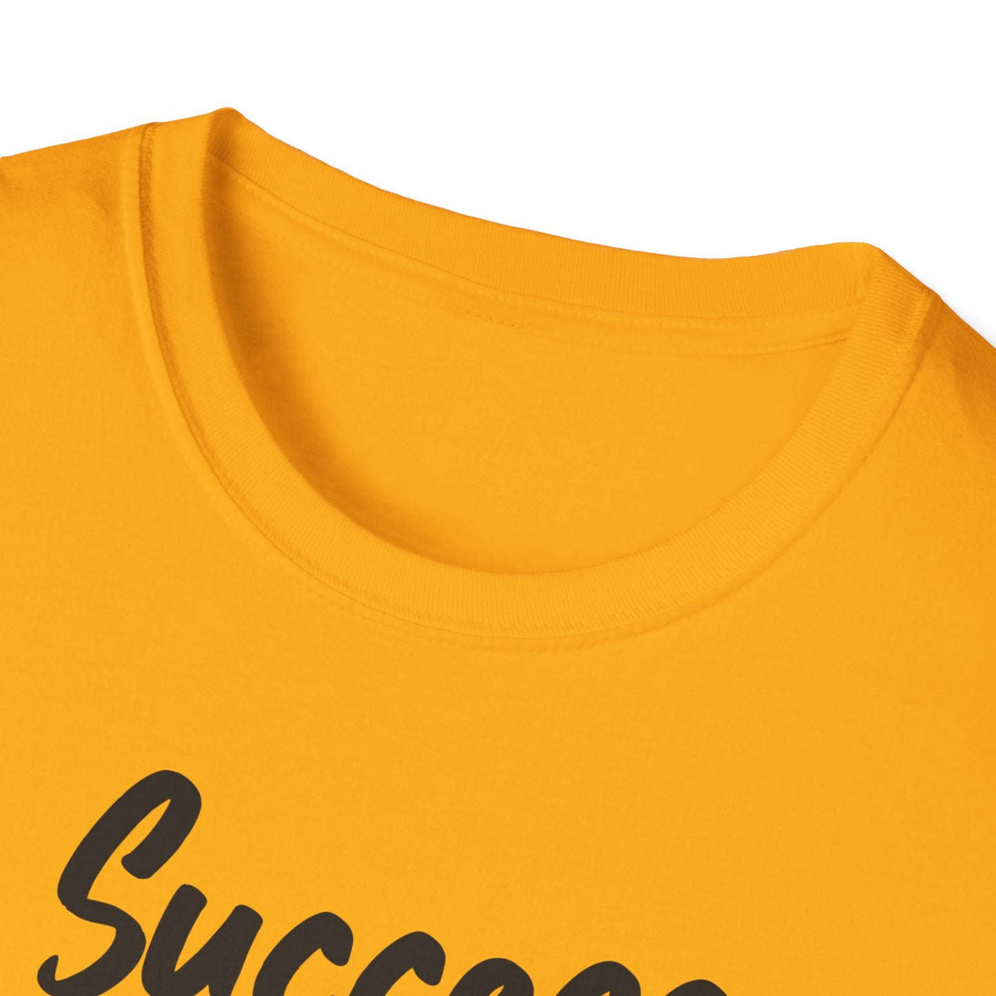 Success is a Series of small Things  Unisex Softstyle T-Shirt