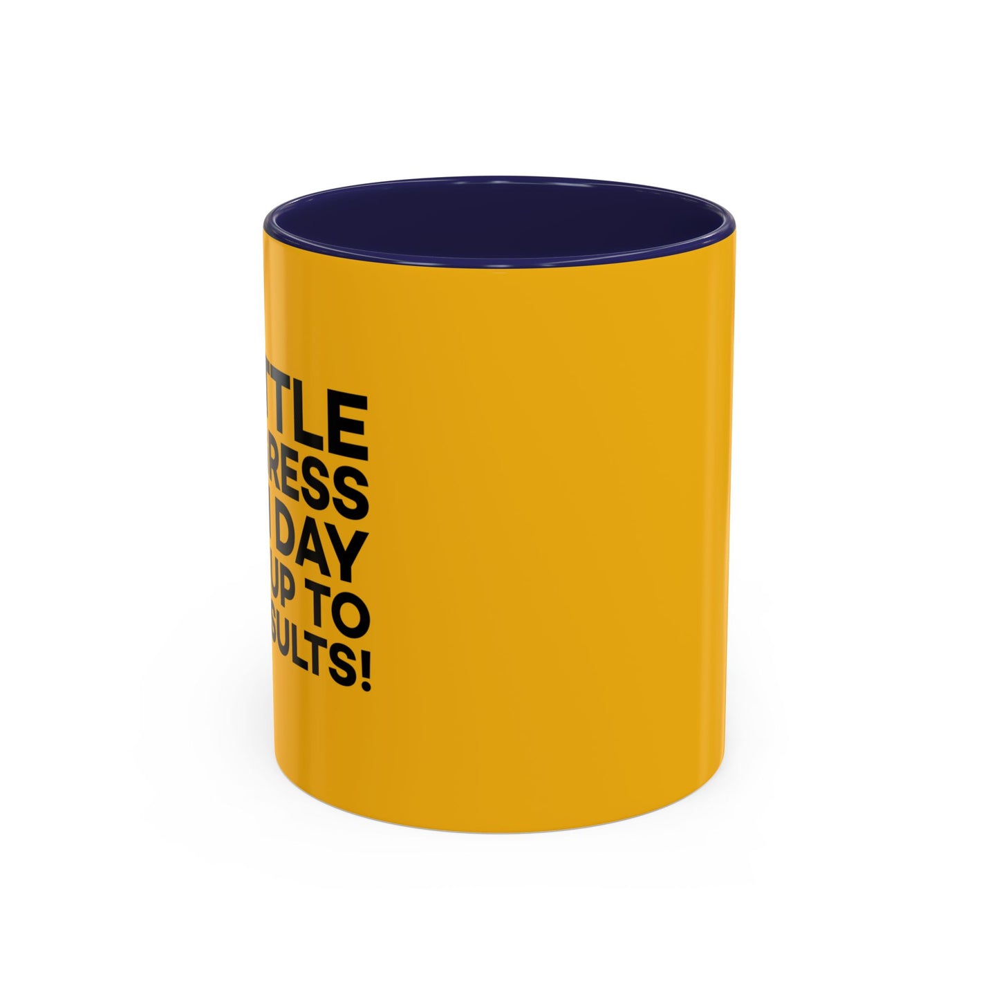 A Little Progress Each Day Adds Up To Big Results! Accent Coffee Mug (11, 15oz)