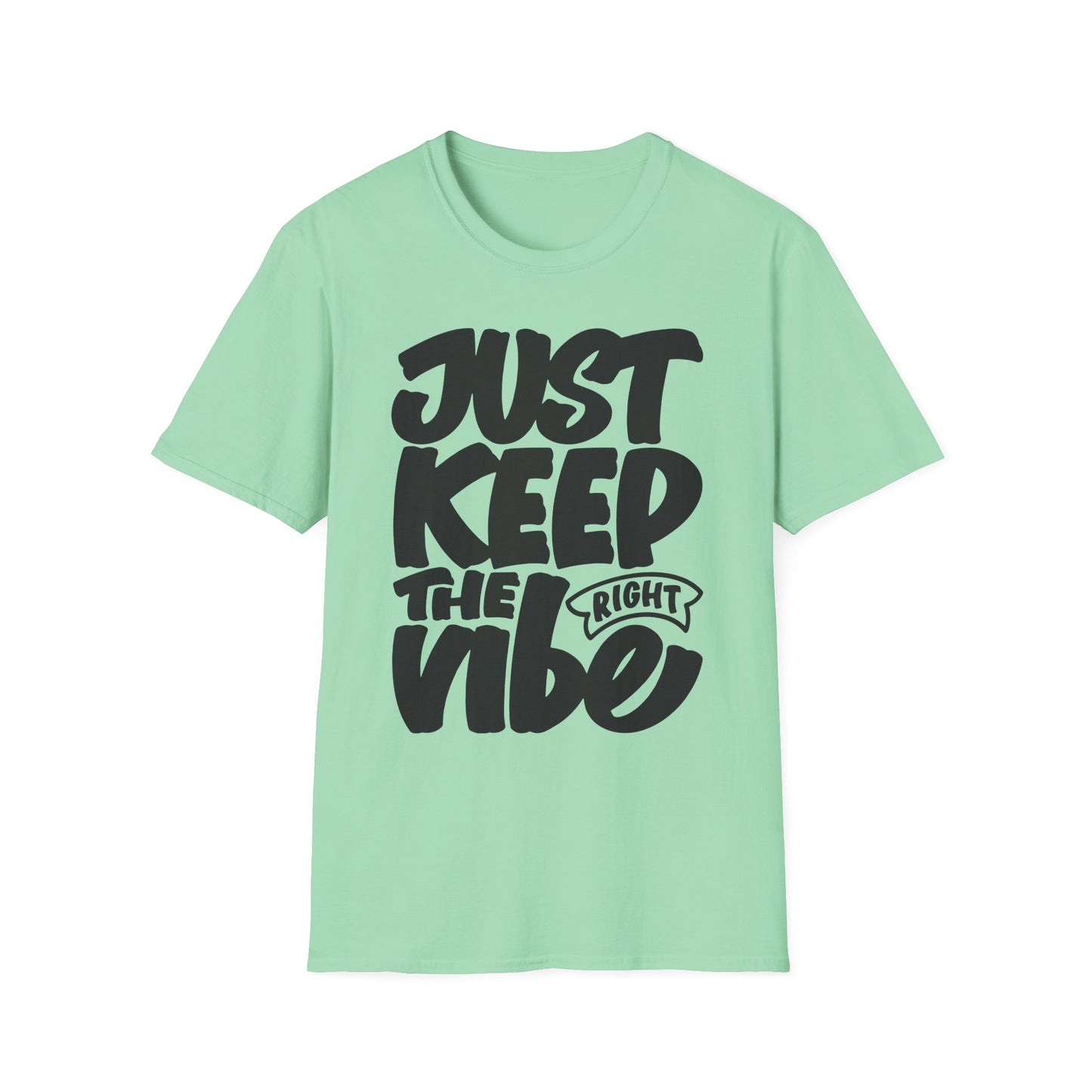 Just Keep The Right Vibe Unisex Softstyle T-Shirt