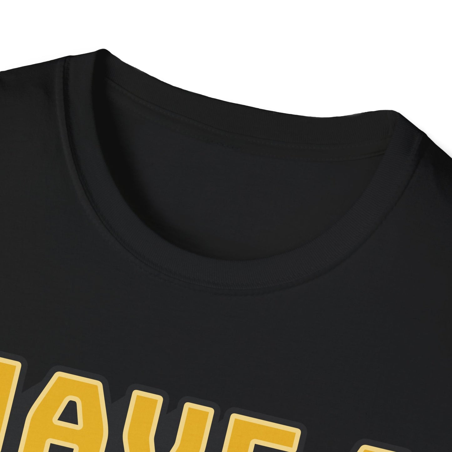 Have a Growth Mind Set Unisex Softstyle T-Shirt