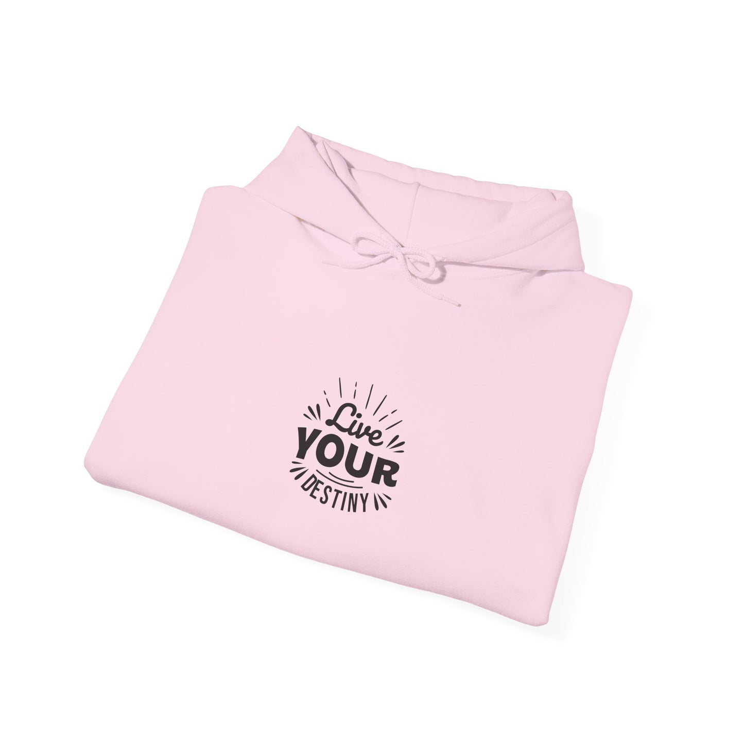 Live Your Destiny Unisex Heavy Blend™ Hooded Sweatshirt