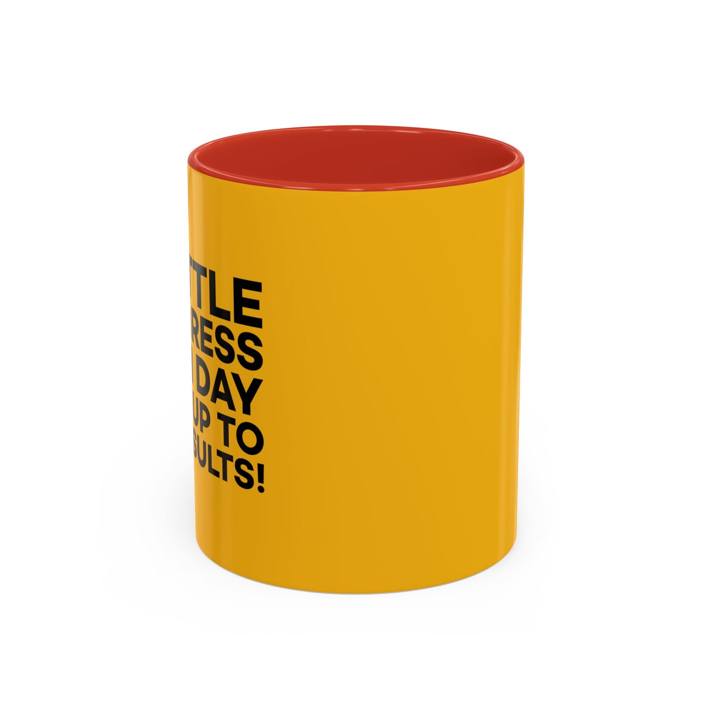 A Little Progress Each Day Adds Up To Big Results! Accent Coffee Mug (11, 15oz)