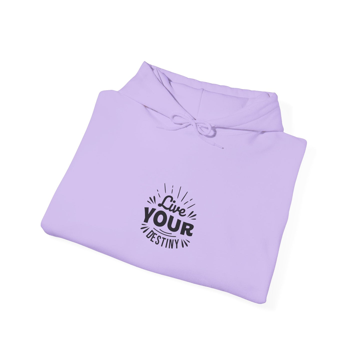 Live Your Destiny Unisex Heavy Blend™ Hooded Sweatshirt