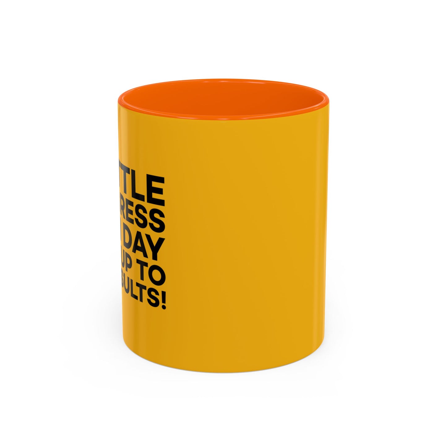 A Little Progress Each Day Adds Up To Big Results! Accent Coffee Mug (11, 15oz)