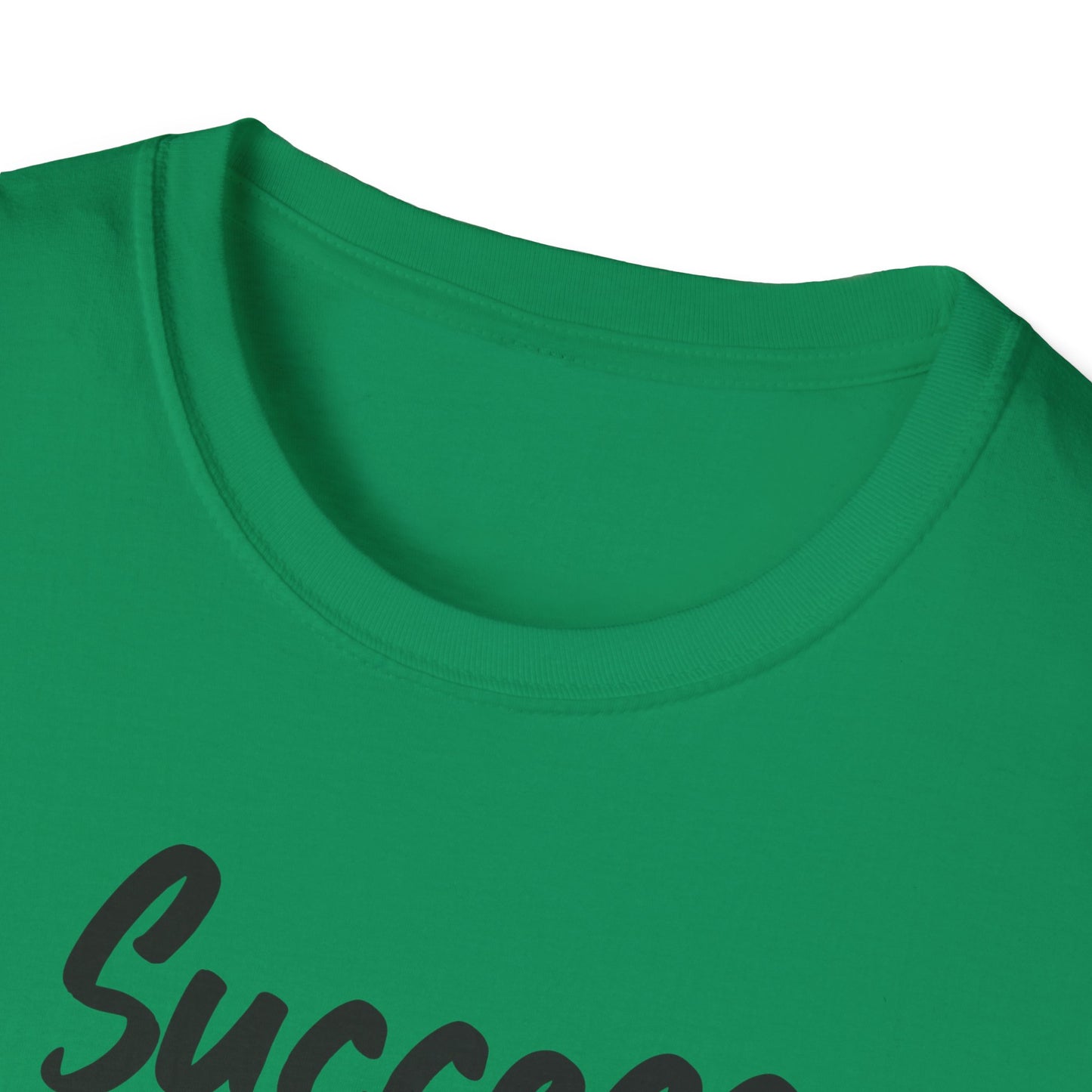 Success is a Series of small Things  Unisex Softstyle T-Shirt