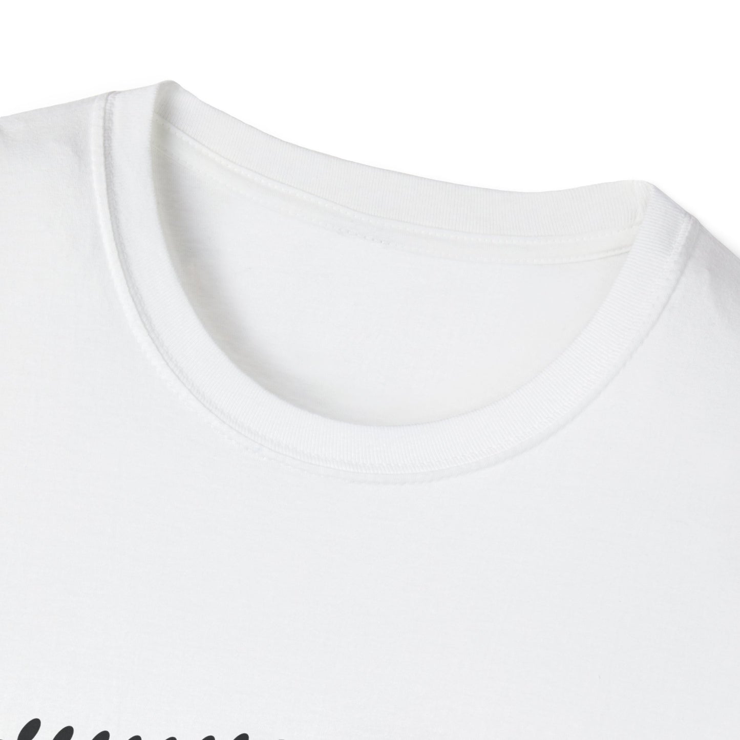 Work Hard And Love Your Passion Unisex Softstyle T-Shirt