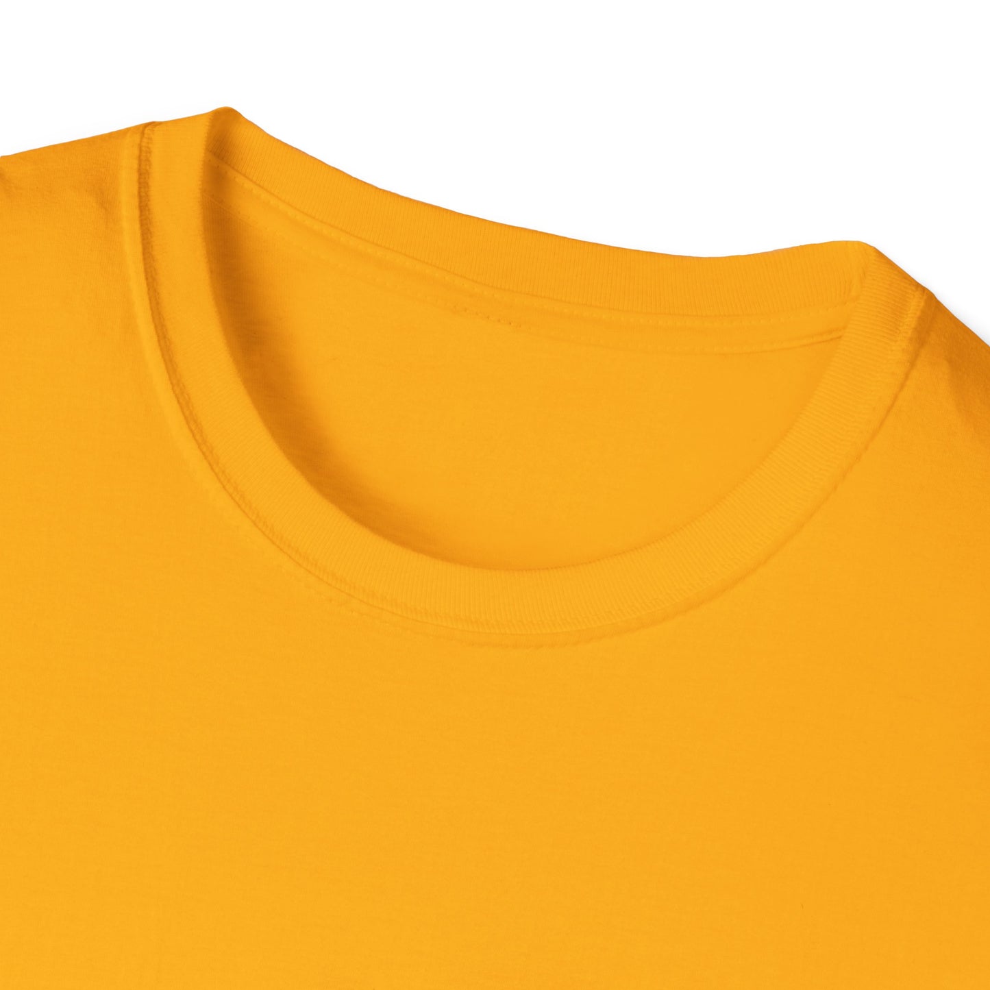 A Little Progress Each Day Adds Up To Big Results! Unisex Softstyle T-Shirt