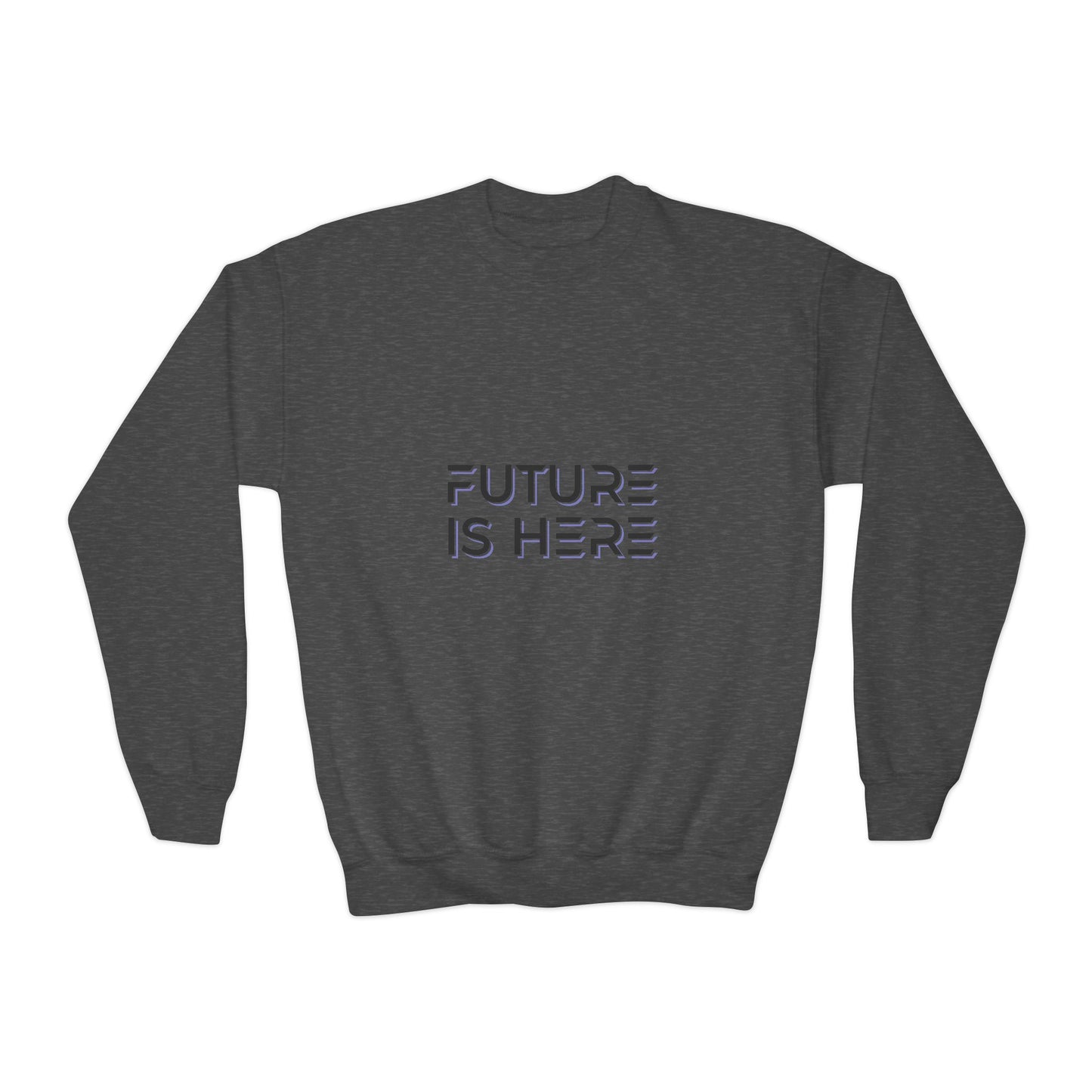 Future Is Here Youth Crewneck Sweatshirt