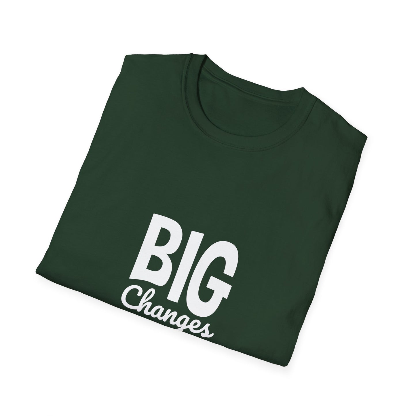 Big Changes Start From Small Progress Unisex Softstyle T-Shirt